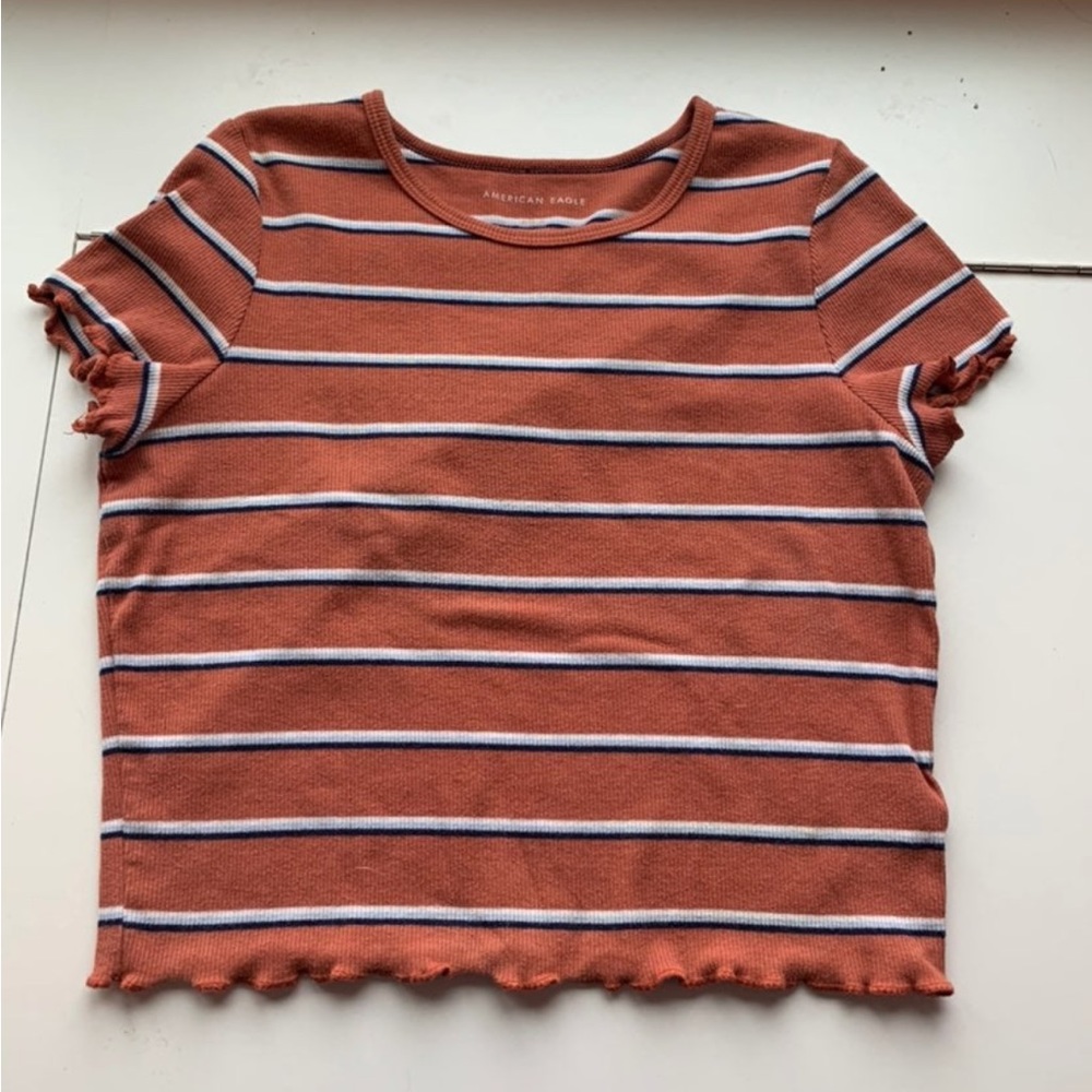 American Eagle Crop Top